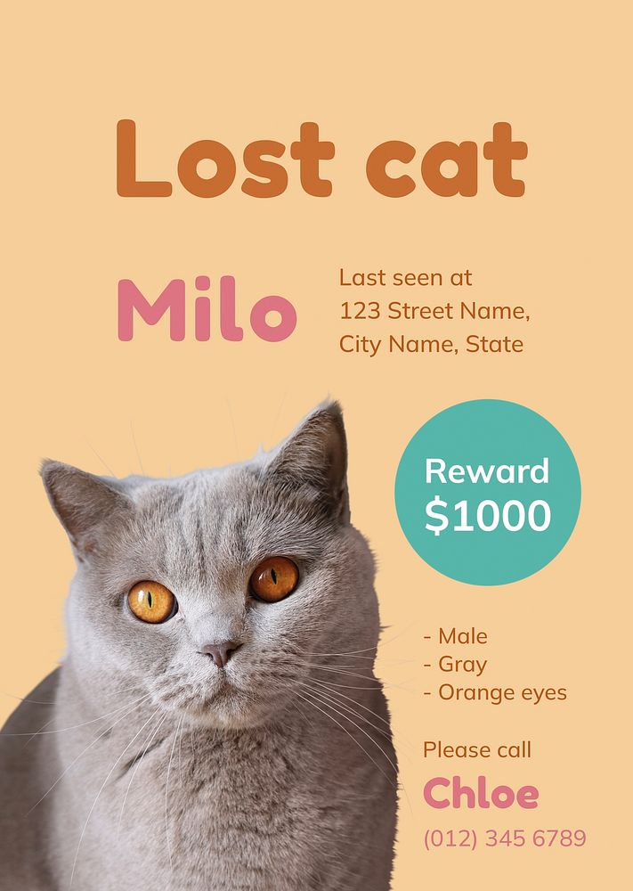 Lost cat poster template for social media advertisement vector