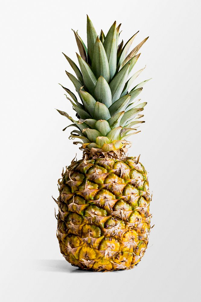 Fresh pineapple clipart, tropical fruit psd