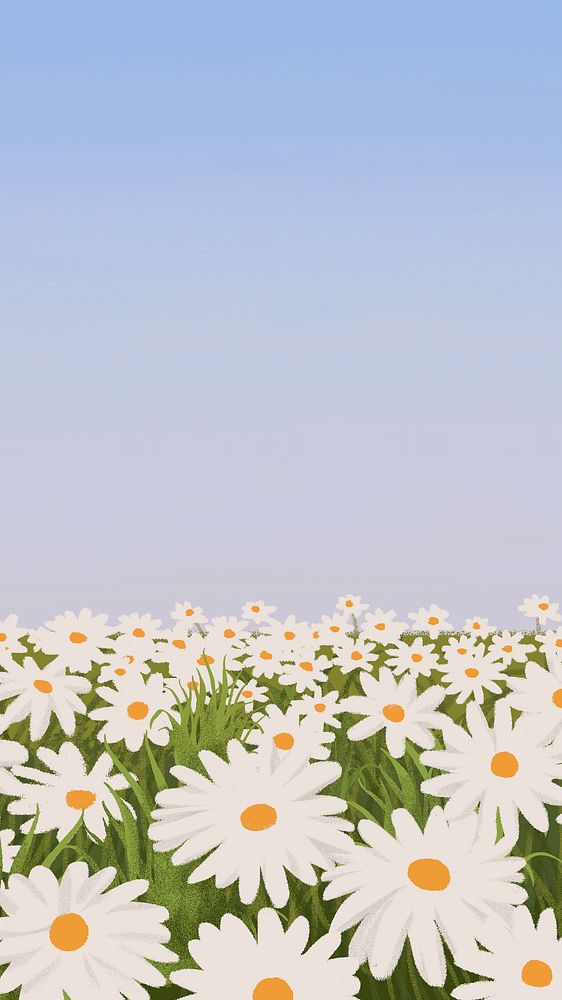 Daisy flower field phone wallpaper, minimal spring design