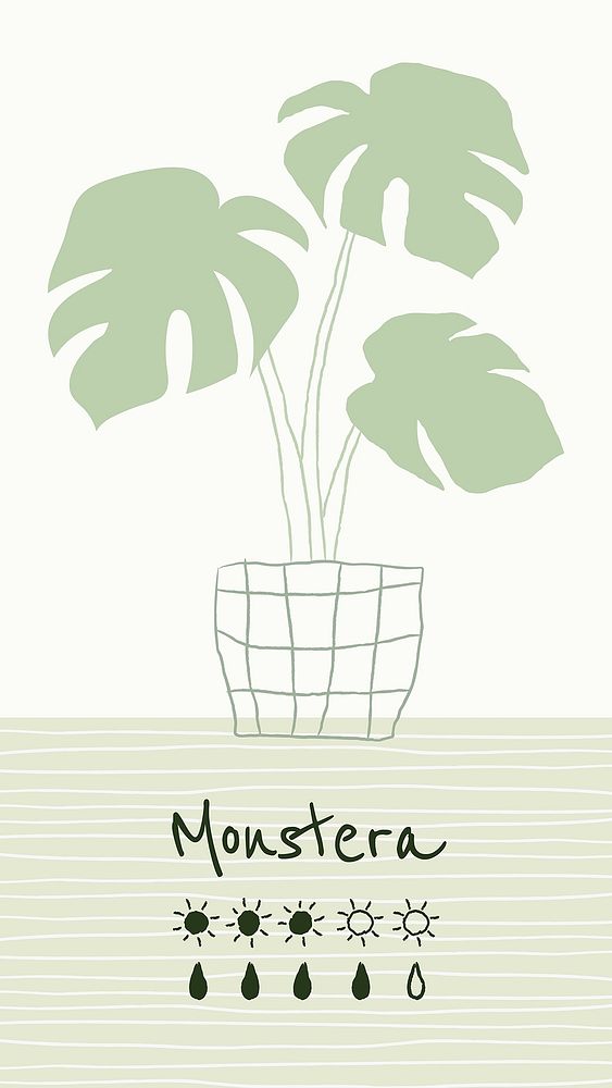 Watering chart template vector for monstera