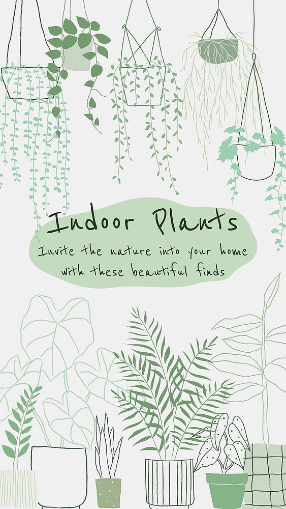 Indoor houseplants hand drawn doodle with text
