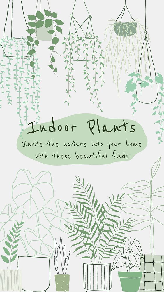 Indoor houseplant psd template in doodle style