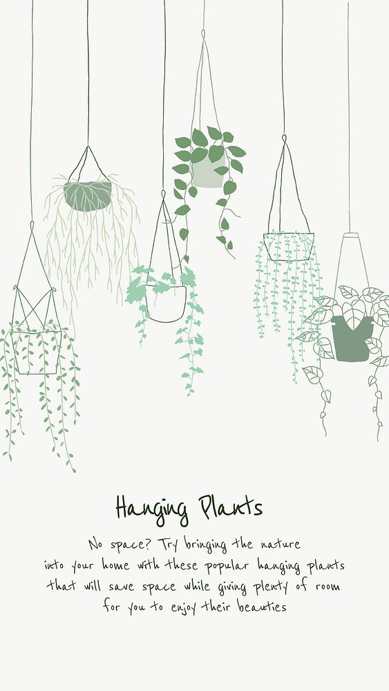 Hanging plant introduction to new plant parent psd template