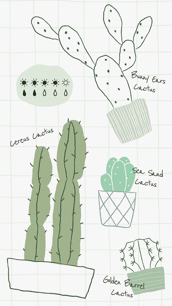 Houseplant cactus doodle psd watering chart