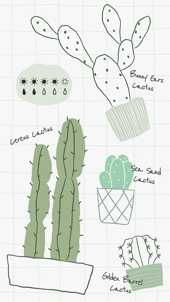 Houseplant cactus doodle vector watering chart