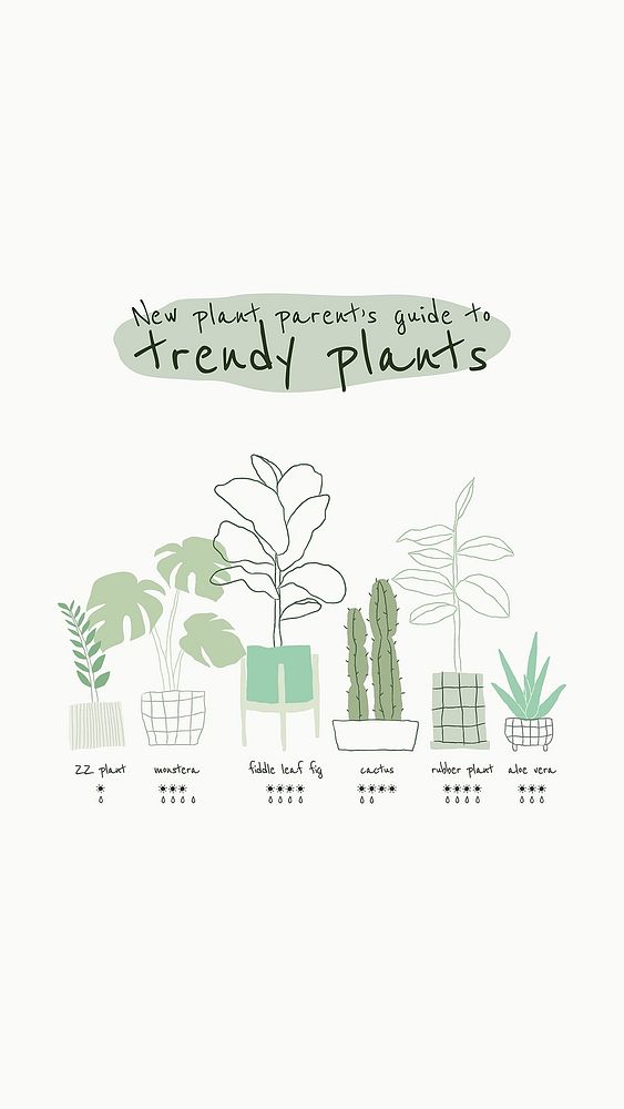 Trendy houseplant guide vector template