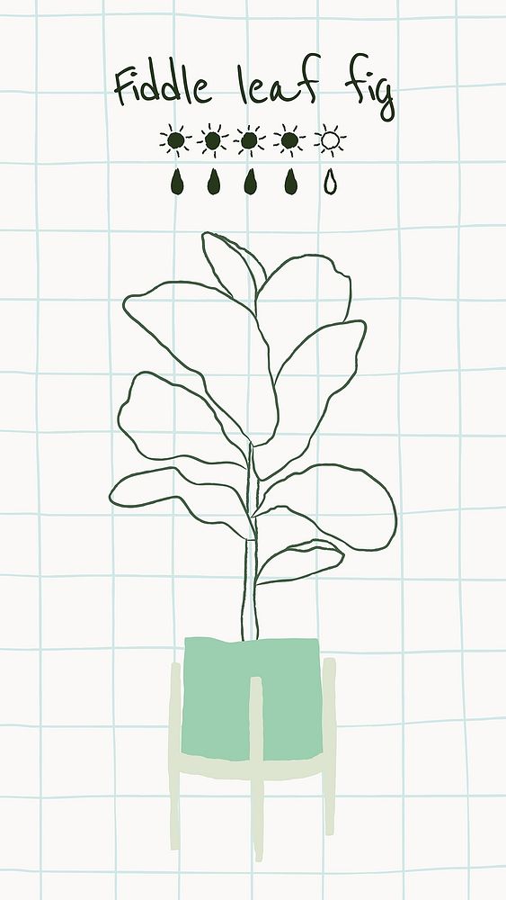 Doodle plant vector template for fiddle leaf fig