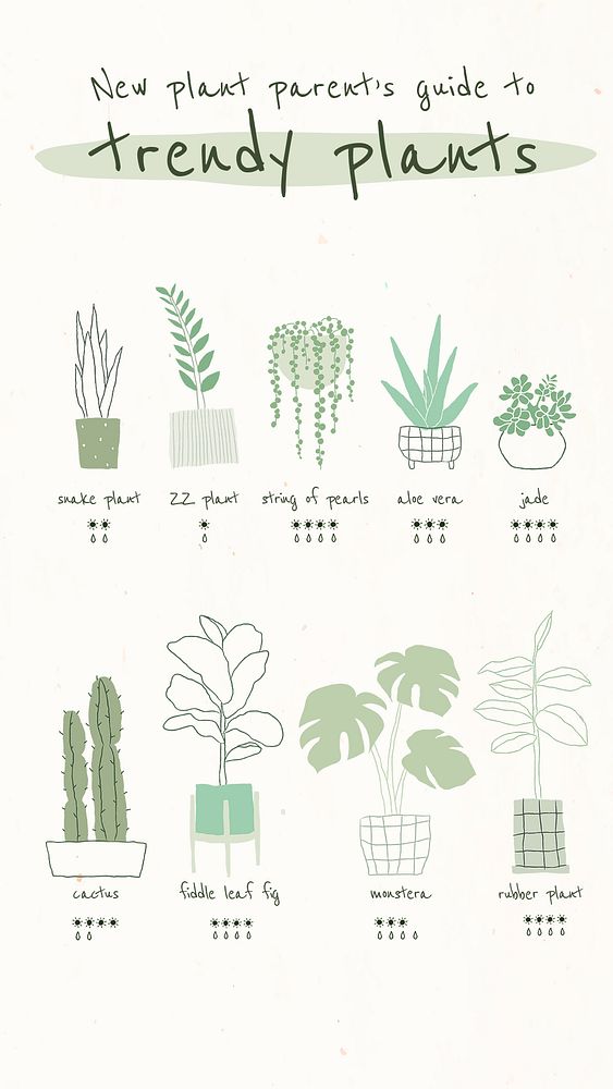 Trendy houseplant guide template psd for social media