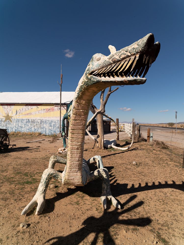 A spiny dinosaur (or dragon?) skeleton highlights the quirky collection in the yard outside the Arizona Trading Post, an old…