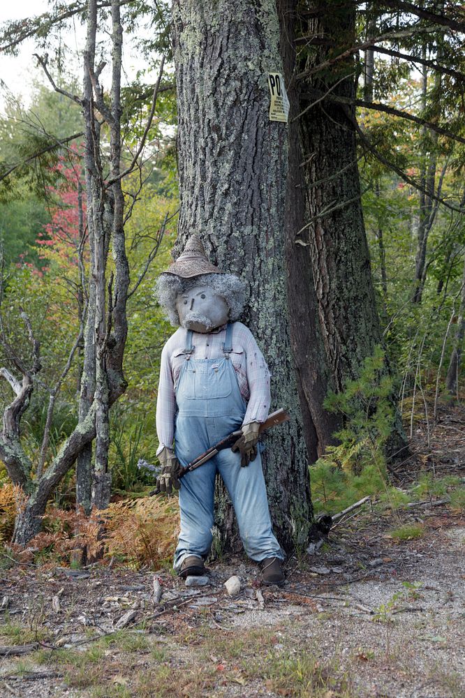 You'll find lots of "no trespassing" signs along the road at this property near Porterfield, Maine -- and also this stuffed…