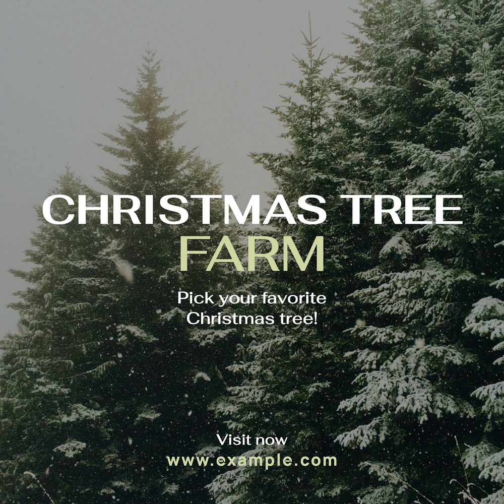 Christmas tree farm Facebook post template, editable design