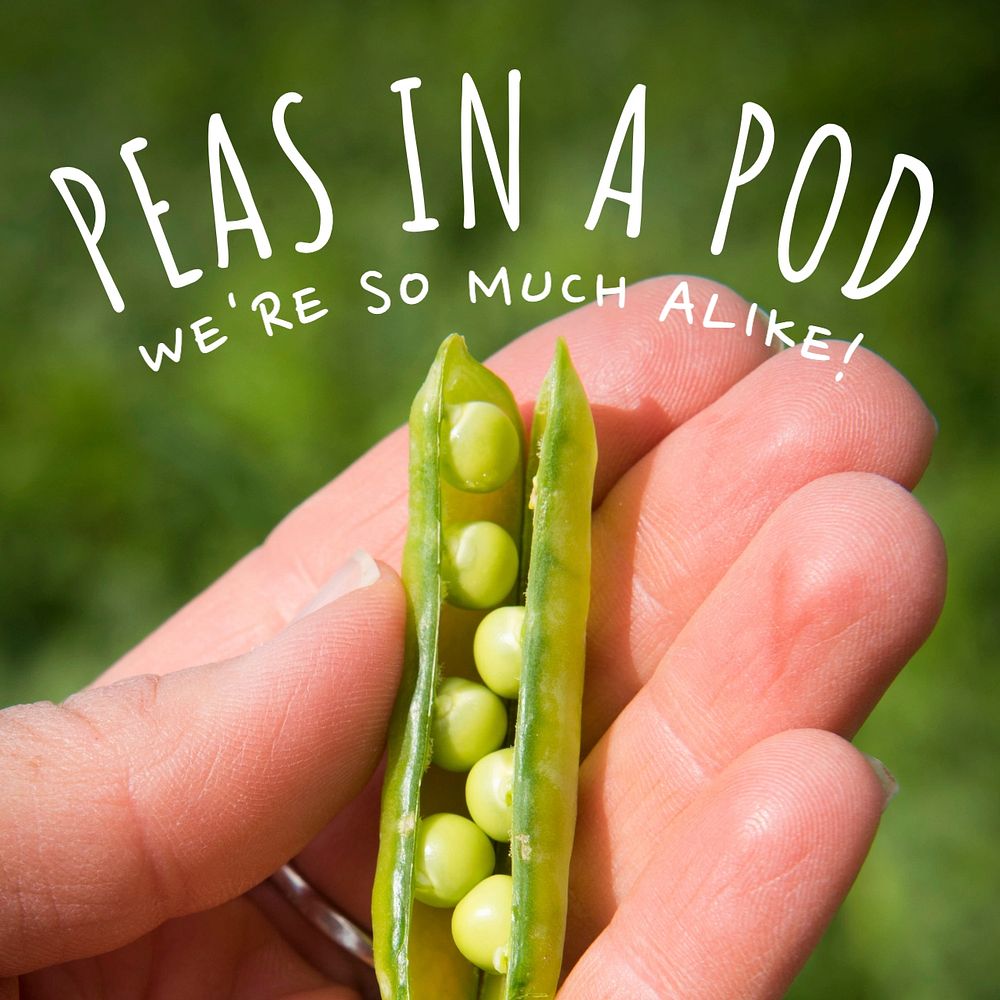 Peas in a pod Instagram post template, editable social media design