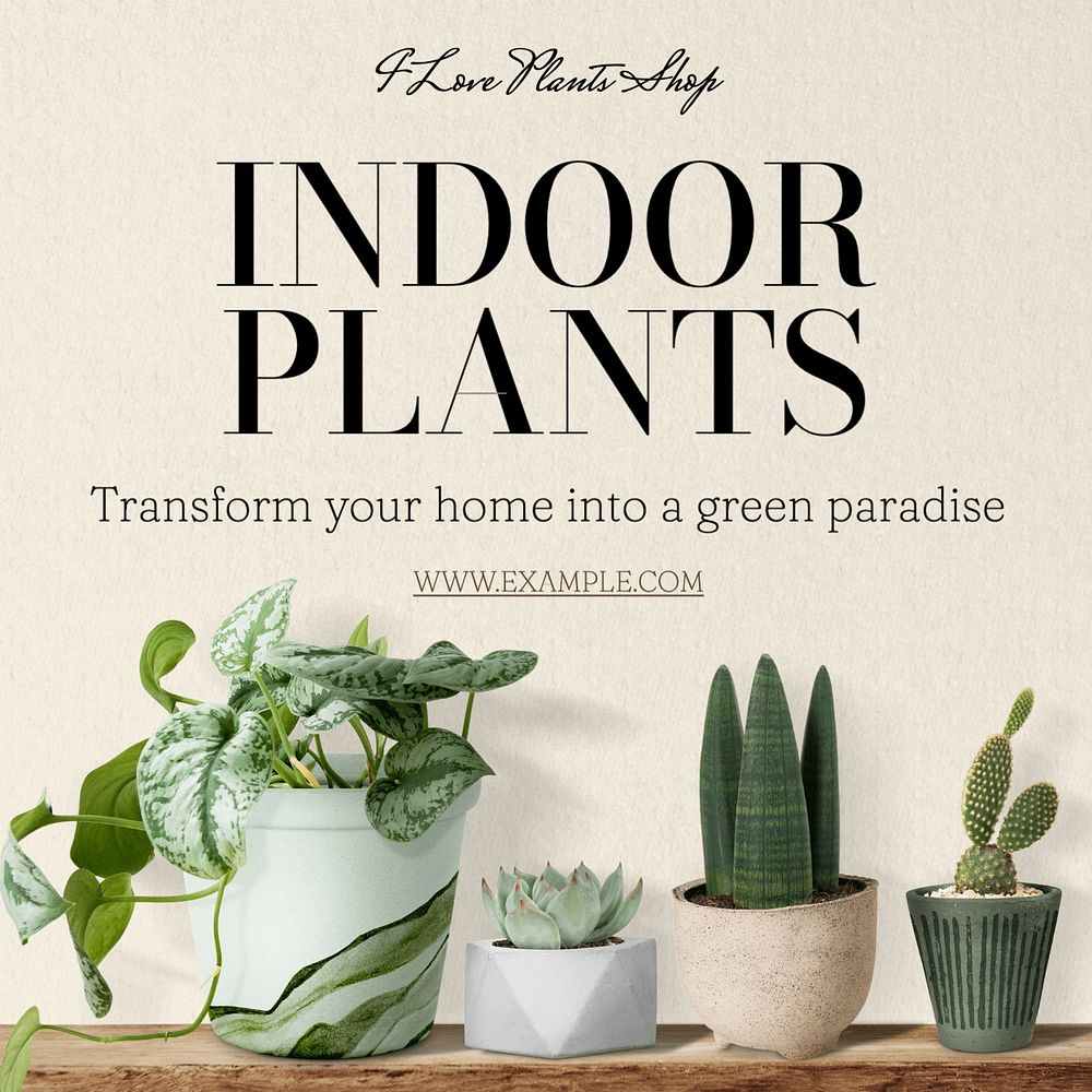 Indoor plants Instagram post template