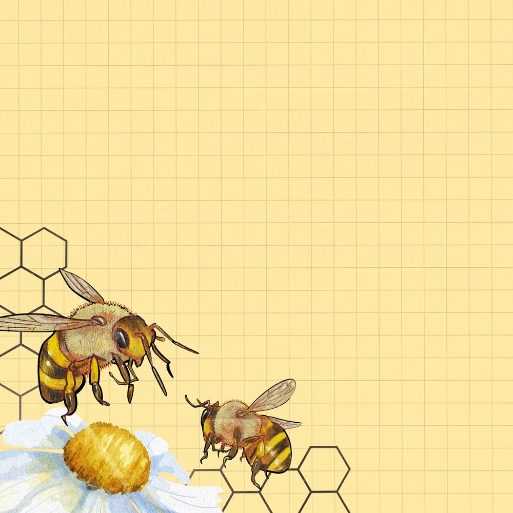 Yellow grid patterned background, bees border, editable design