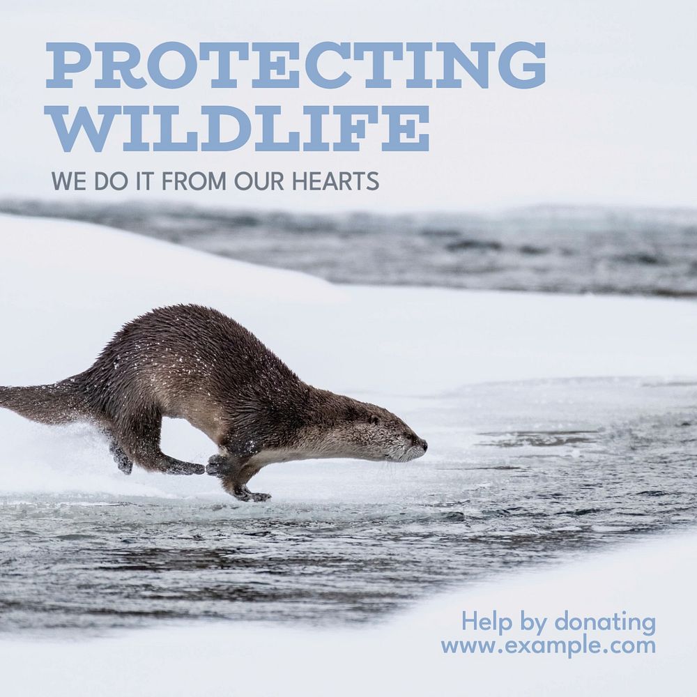 Wildlife charity Instagram post template, editable design