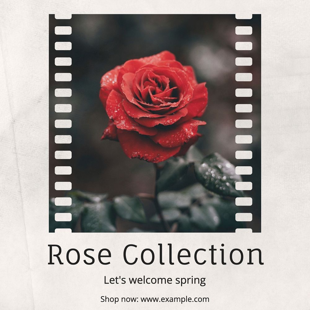 Rose collection Facebook post template, editable design