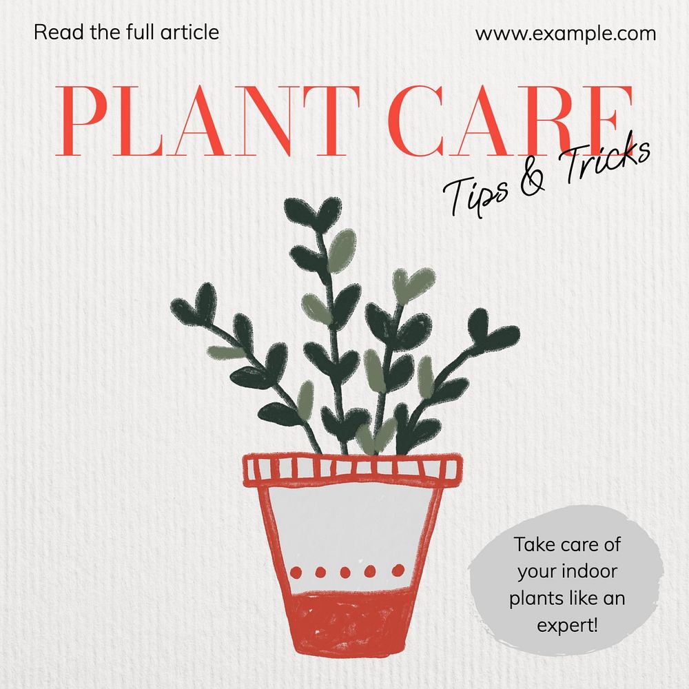 Plant care tips Facebook post template, editable design