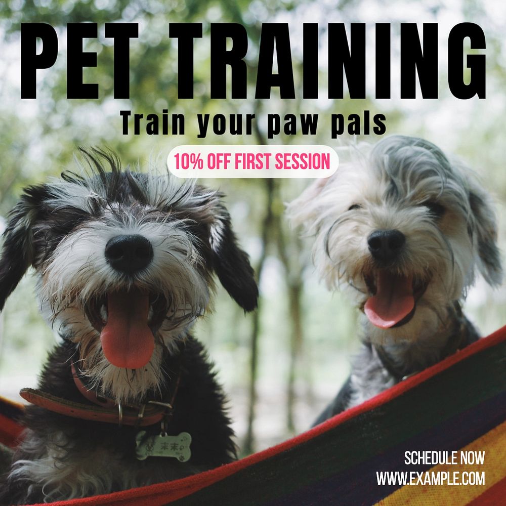 Pet training Instagram post template, editable text