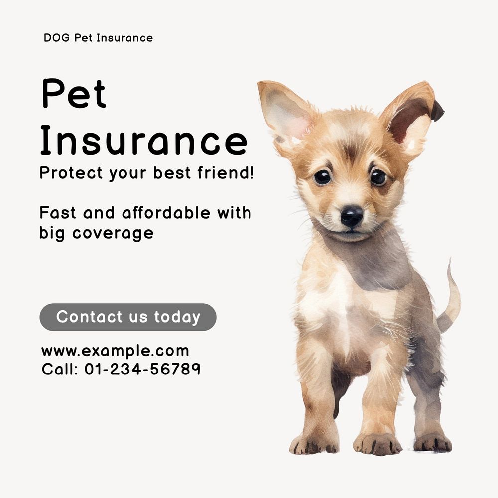 Pet insurance Instagram post template, editable text