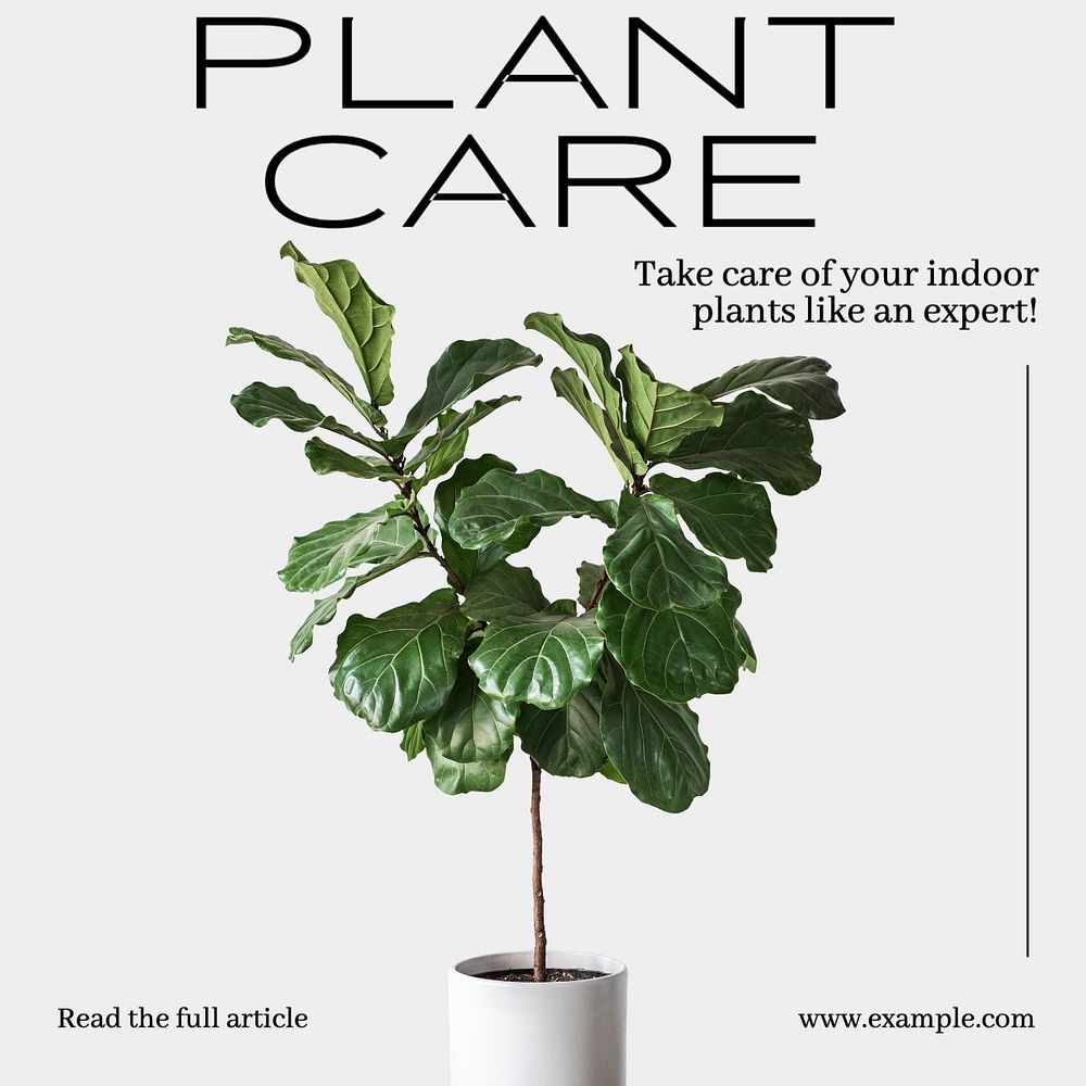 Plant care tips Instagram post template, editable text