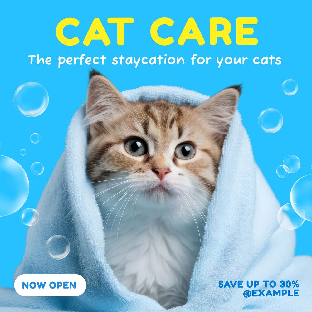 Cat care Instagram post template, editable text