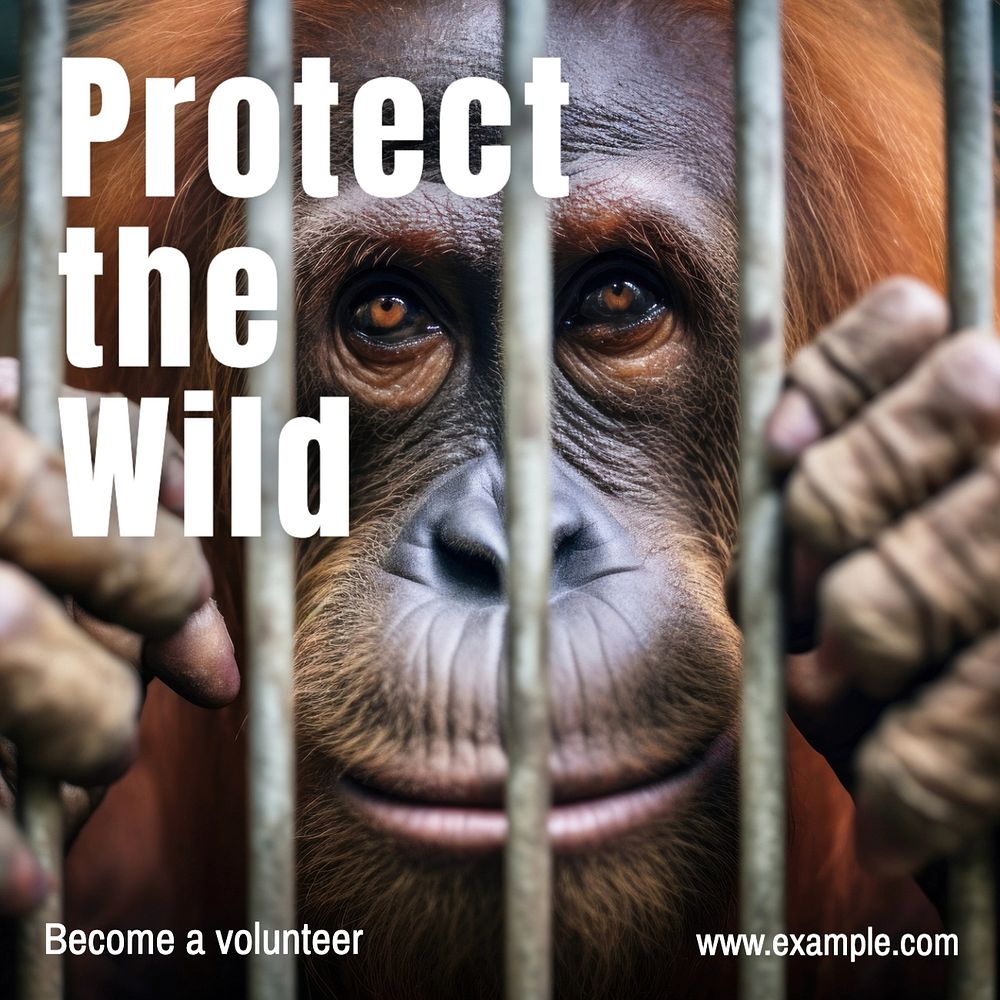 Protect the wild Instagram post template, editable text