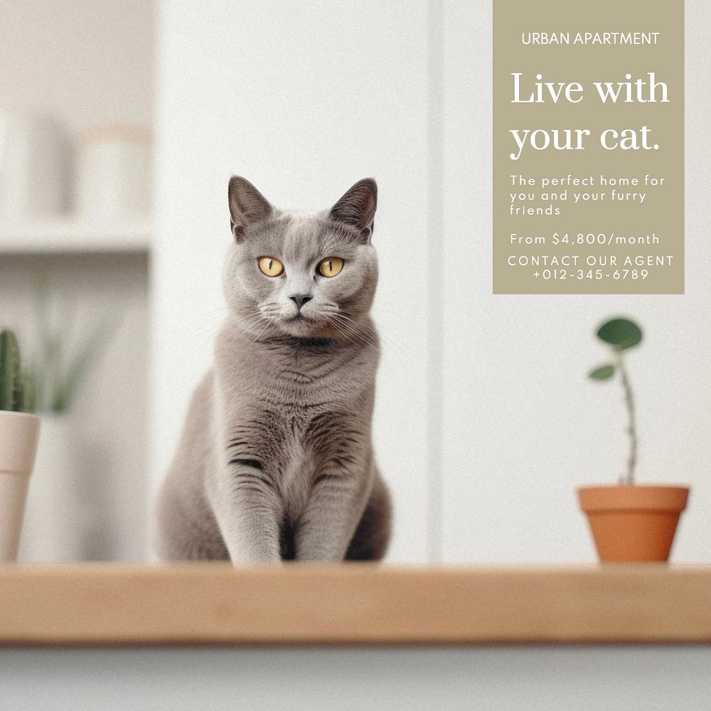 Live with your cat Instagram post template, editable text