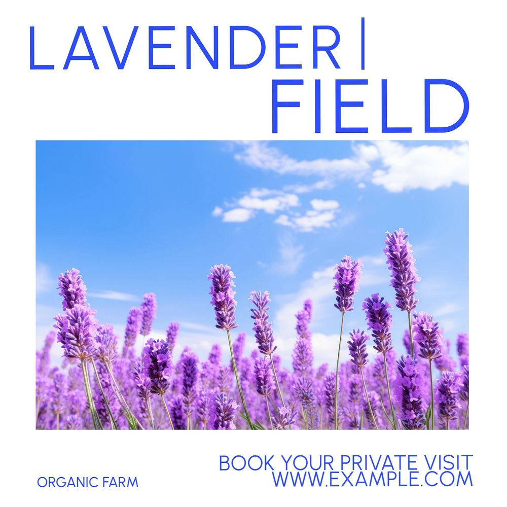 Lavender field Instagram post template, editable text