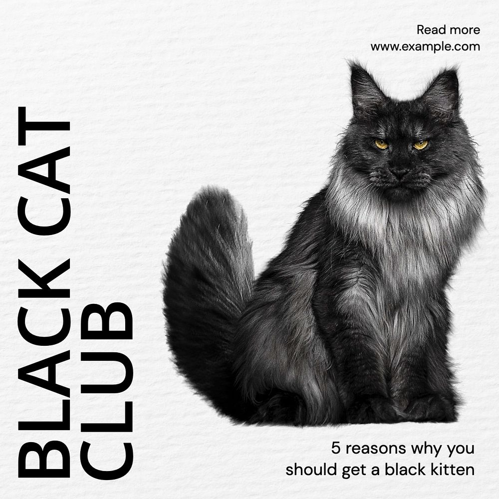 Black cat club Instagram post template, editable design