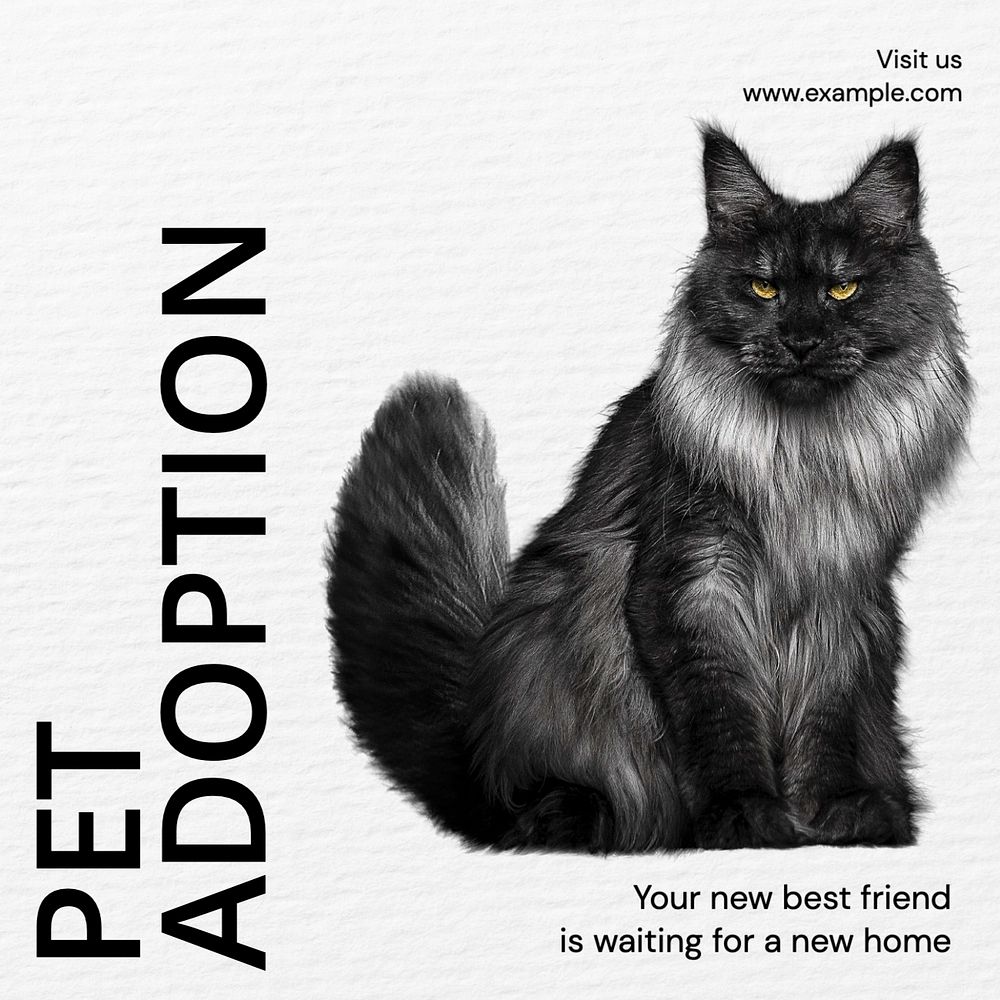 Pet adoption Instagram post template, editable design