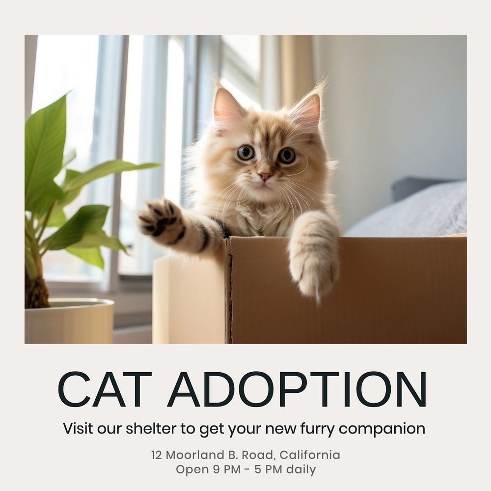 Cat adoption Instagram post template, editable text