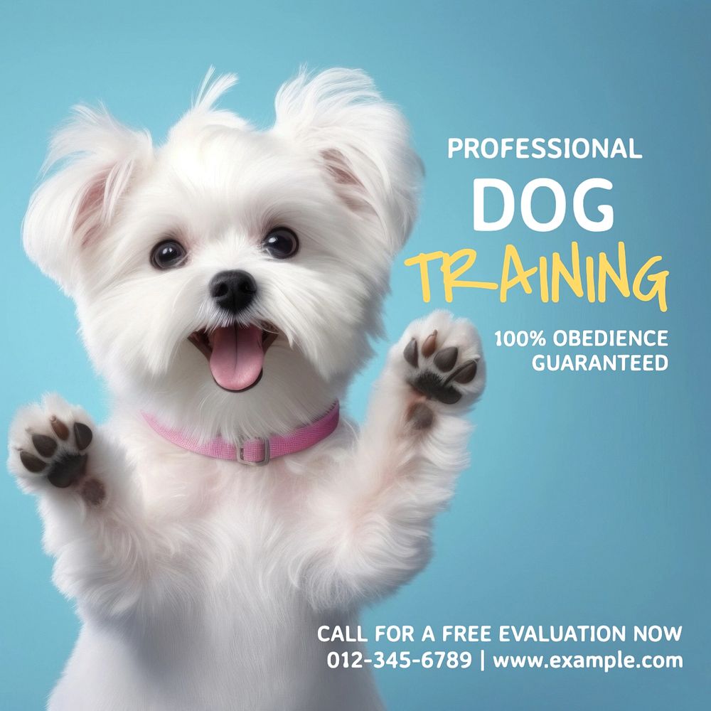 Dog training Instagram post template, editable text