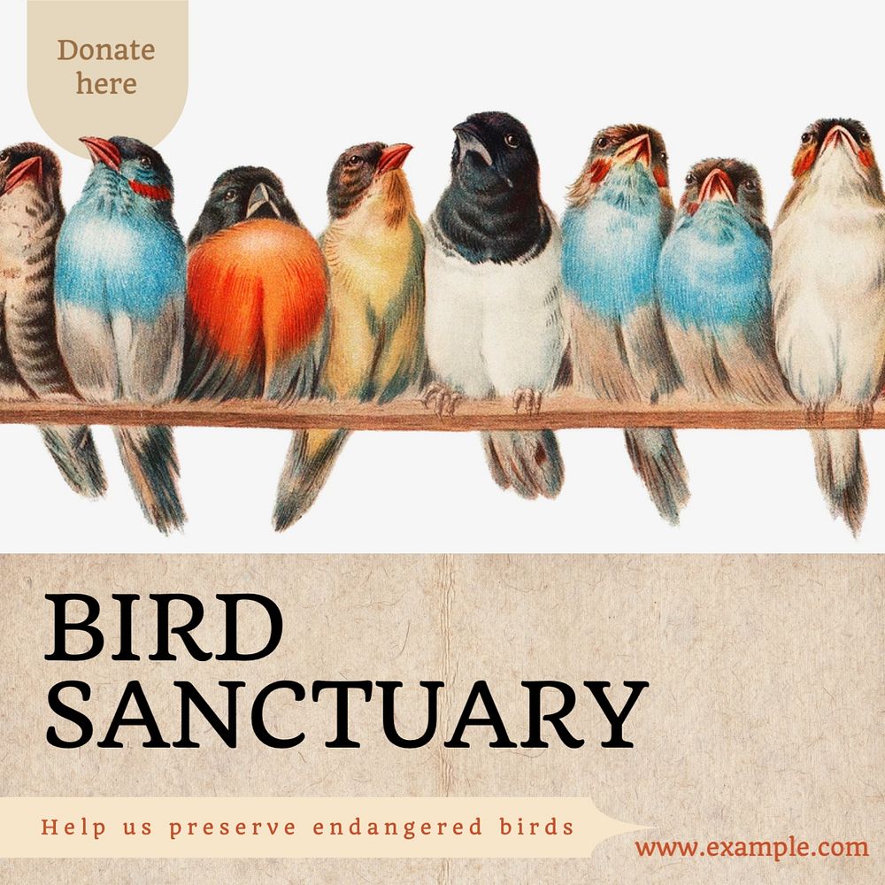 Bird sanctuary Instagram post template, editable text