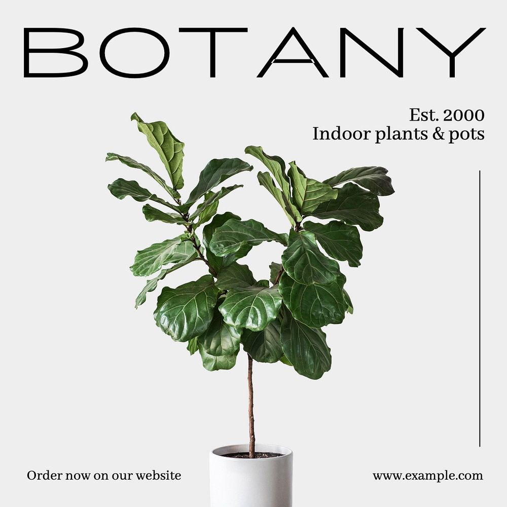 Botany brand Facebook post template, editable design