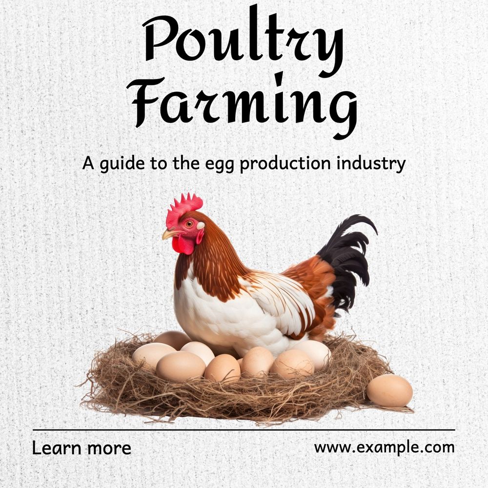 Poultry farming Instagram post template, editable text