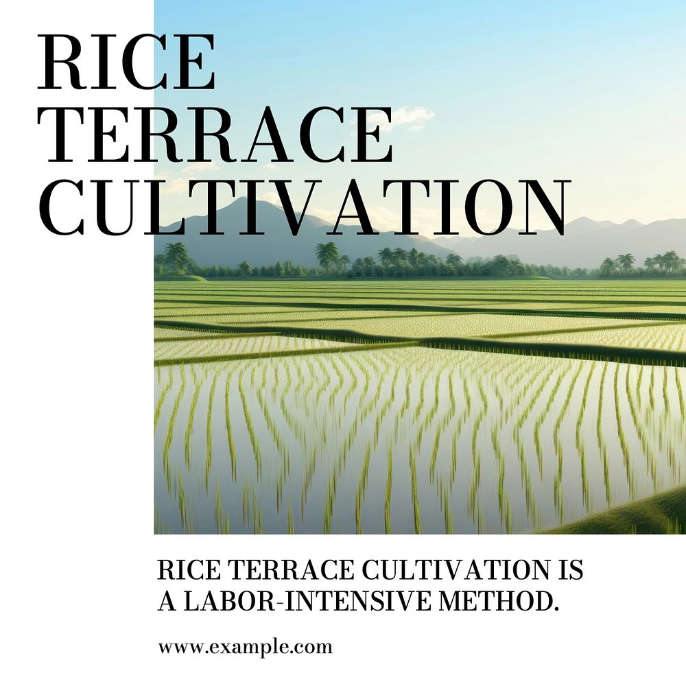 Rice terrace Instagram post template, editable text