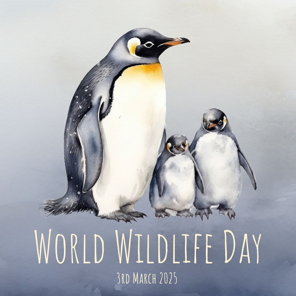 World wildlife day Instagram post template, editable text