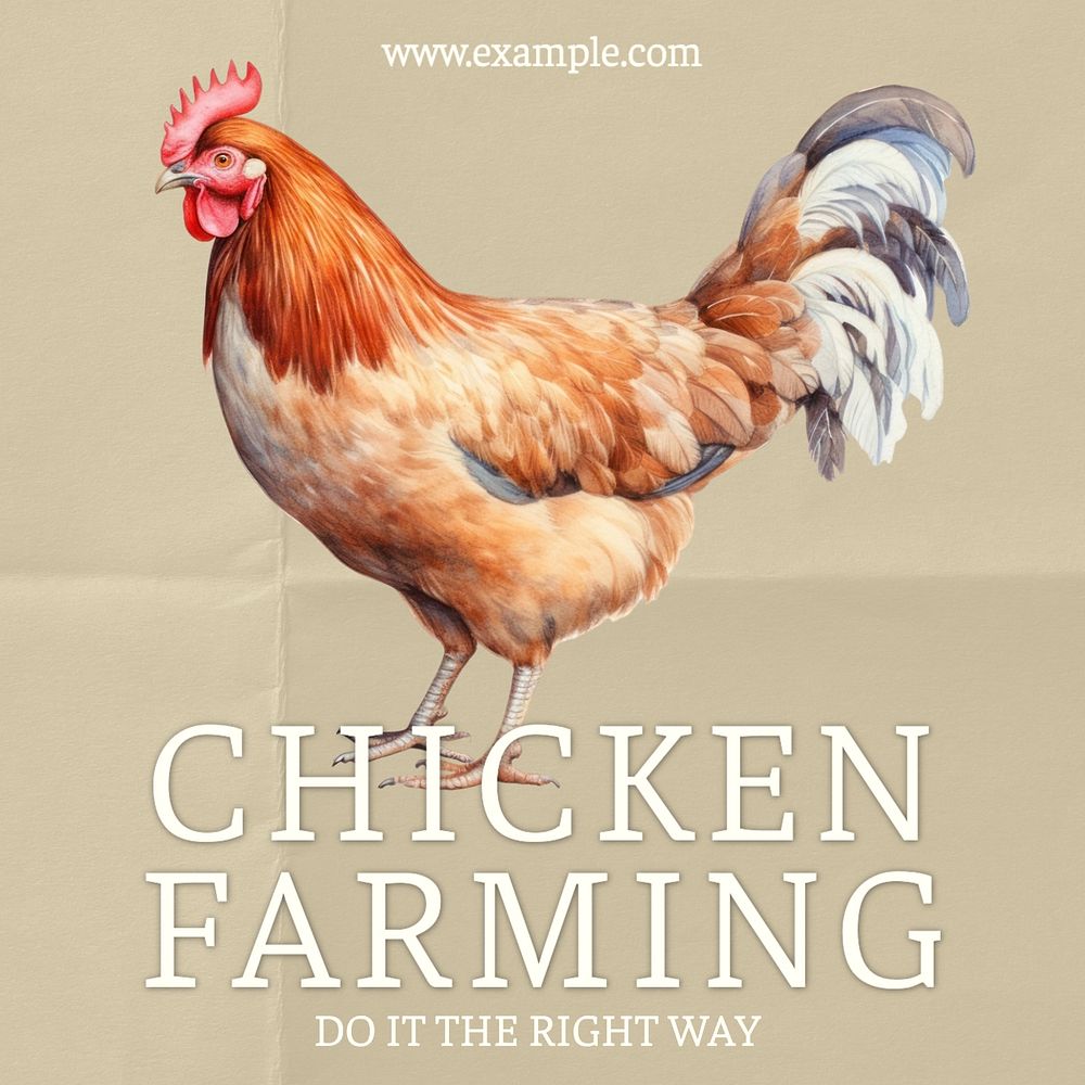 Chicken farming Instagram post template, editable text