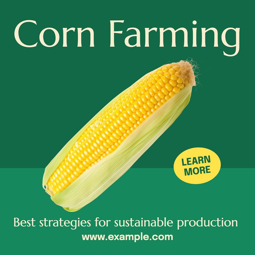 Corn farming Instagram post template, editable text