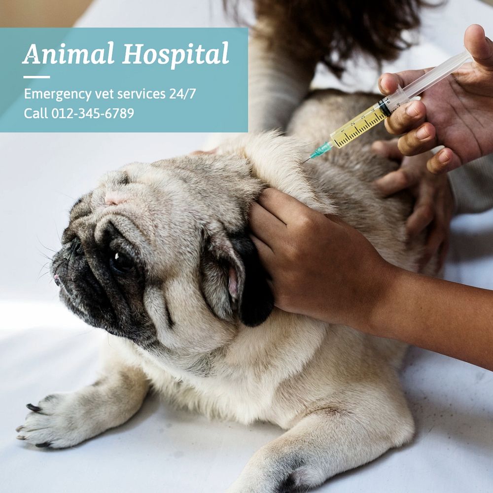 Animal hospital Instagram post template, editable text