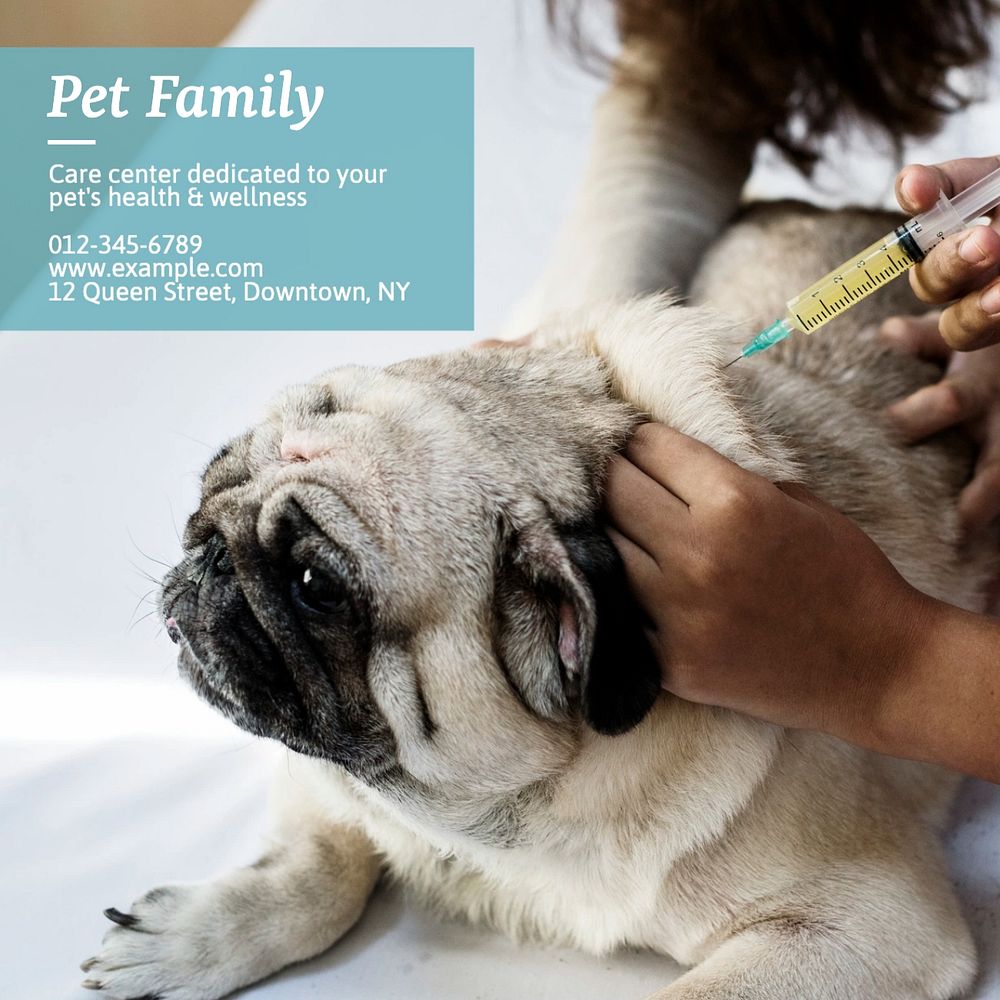 Pet family Instagram post template, editable text