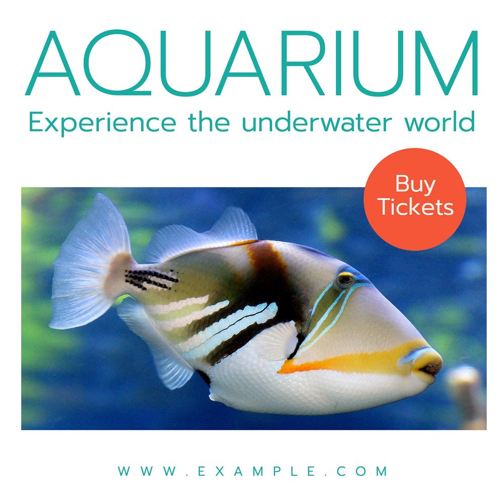 Aquarium Instagram post template, editable text