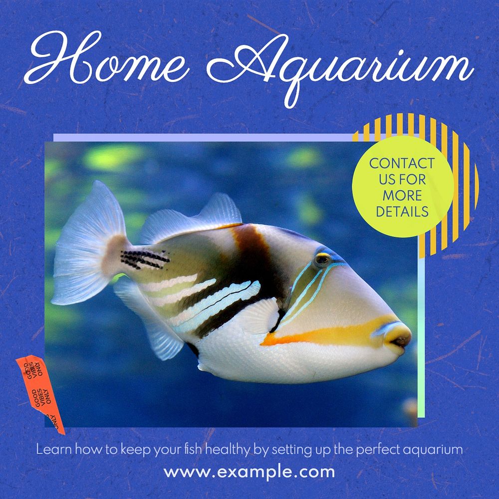 Home Aquarium Instagram post template, editable text