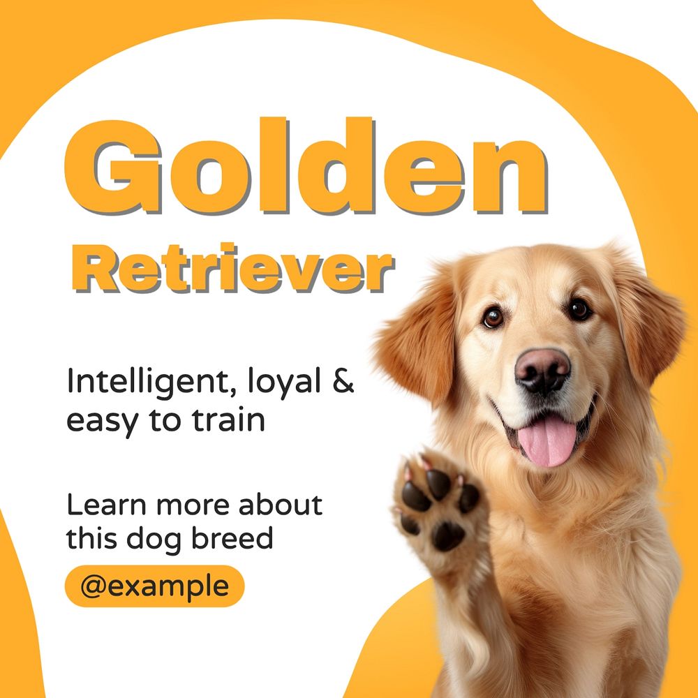 Golden Retriever Instagram post template, editable text