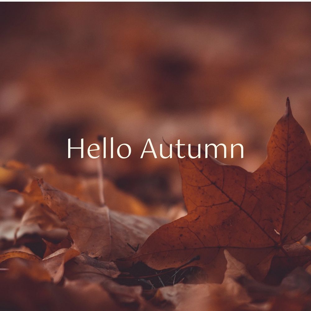 Hello autumn Instagram post template, editable text