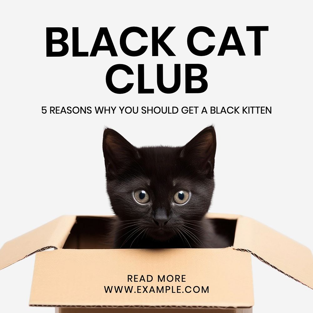 Black cat club Instagram post template, editable social media design