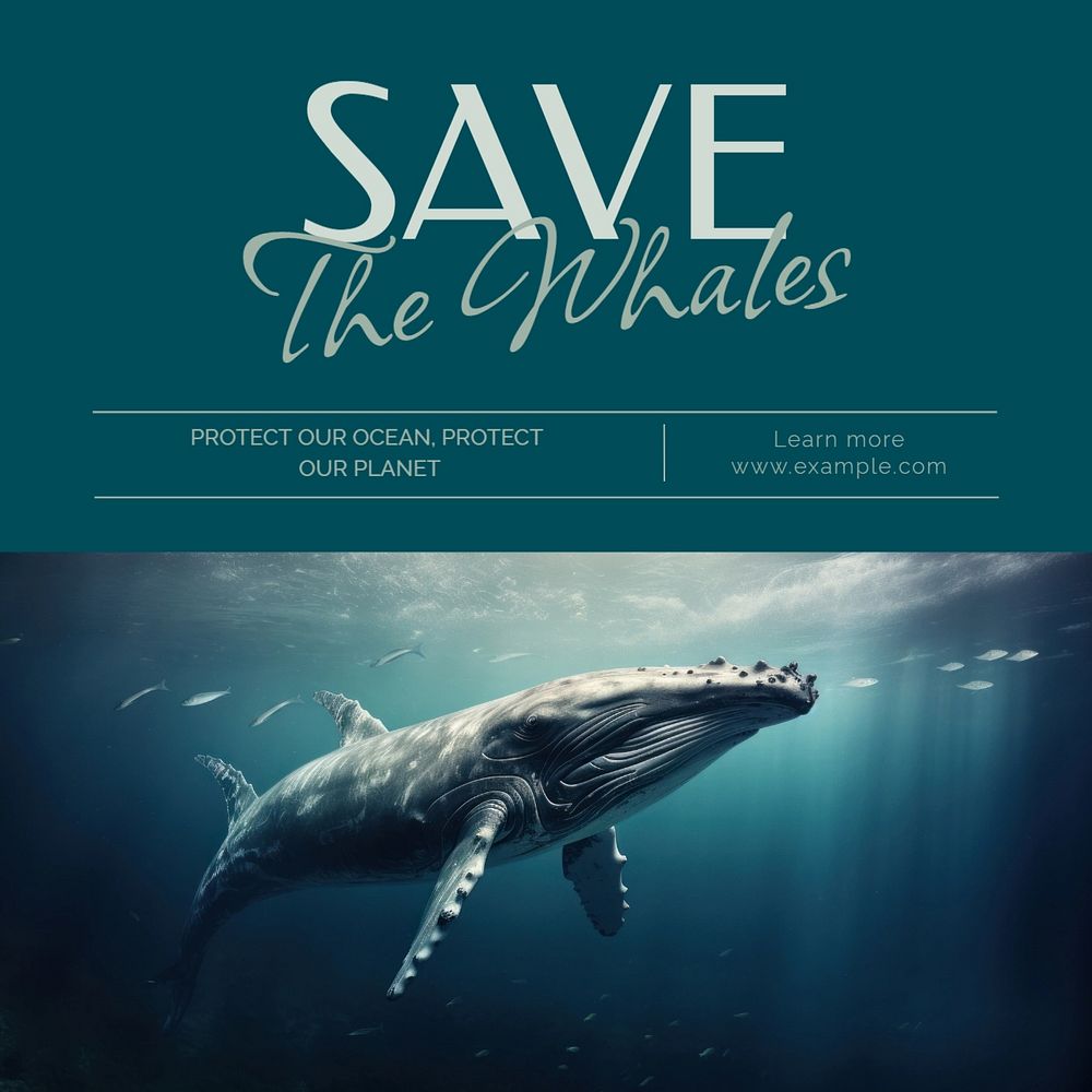 Save the whales Facebook post template, editable design