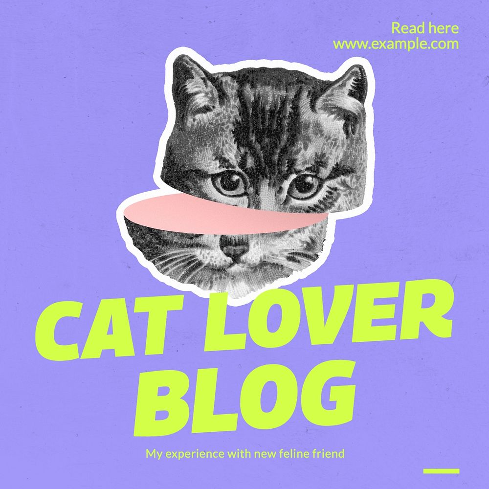 Cat blog Facebook post template, editable design