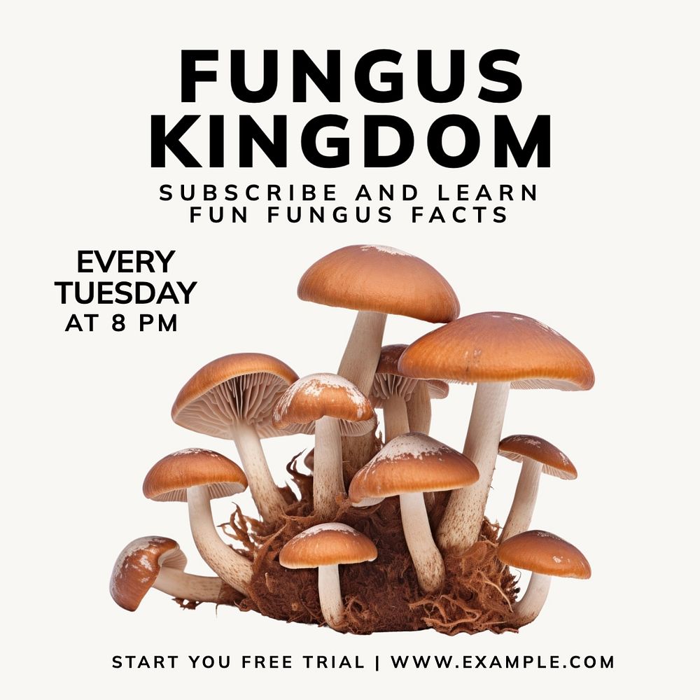 Fungus kingdom Instagram post template