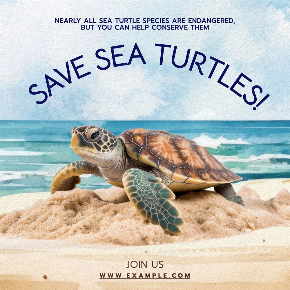 Save sea turtles Instagram post template